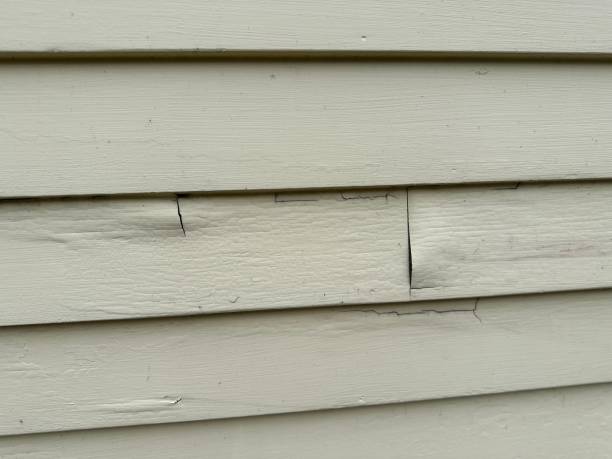 Best Composite Siding  in Lorane, PA